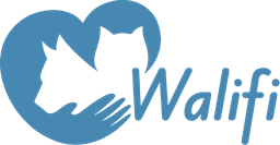 Walifi